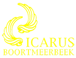 Logo Icarus